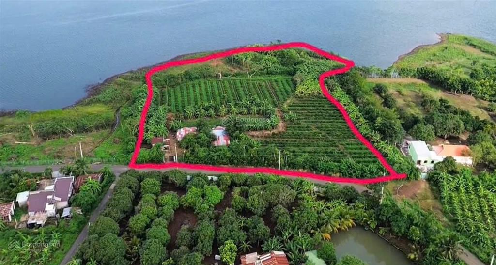 Bán khoảng 6 sào 8 (6785m2) đất xã kim long, tp.hcm. giá 10 tỷ
