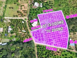 Bán khoảng 1 mẫu 3 (13.000m2) đất láng lớn, huyện châu đức, brvt. giá 20,8 tỷ