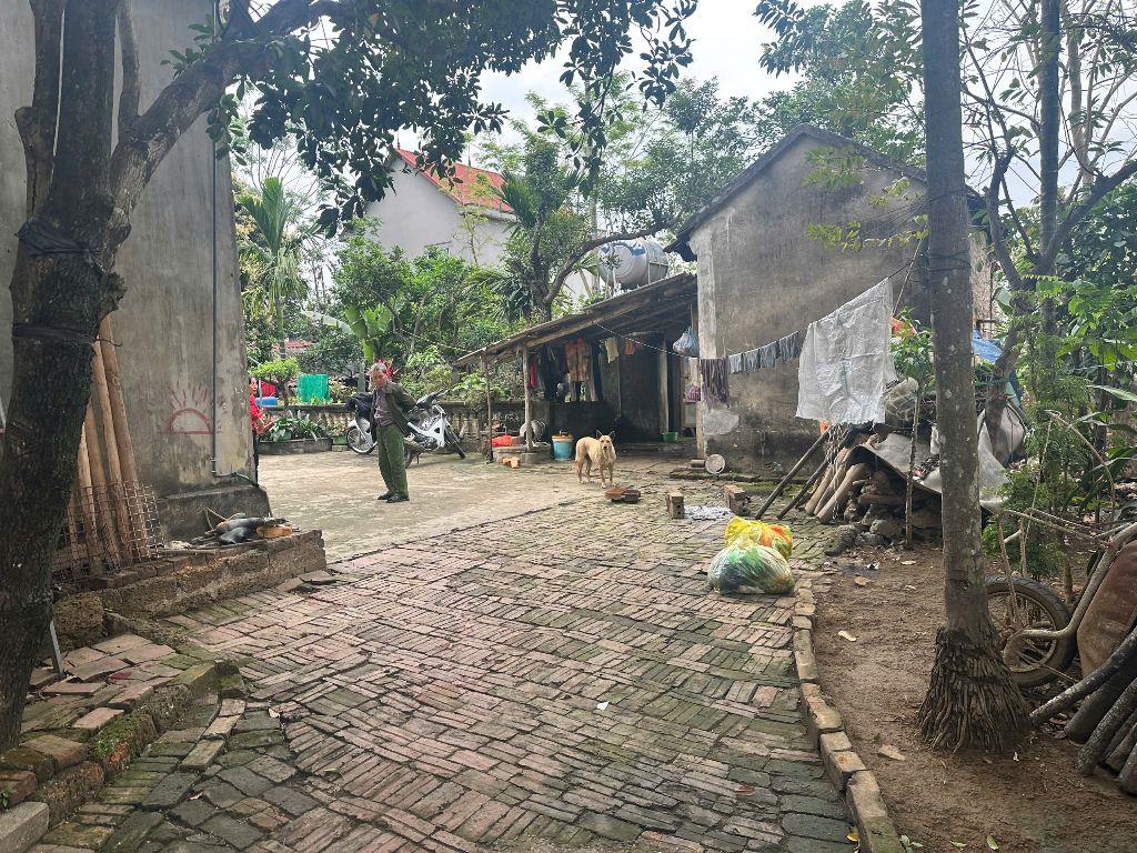 bán đất thổ cư trong dân xã Phú Cát diện tích 200 m2 có 100 m2 thổ cư 