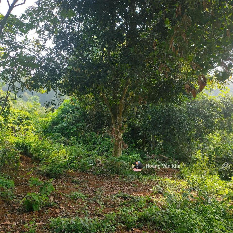 Đất thị trấn xuân mai mà có 8 triệu / 1m2 không thế tin nổi