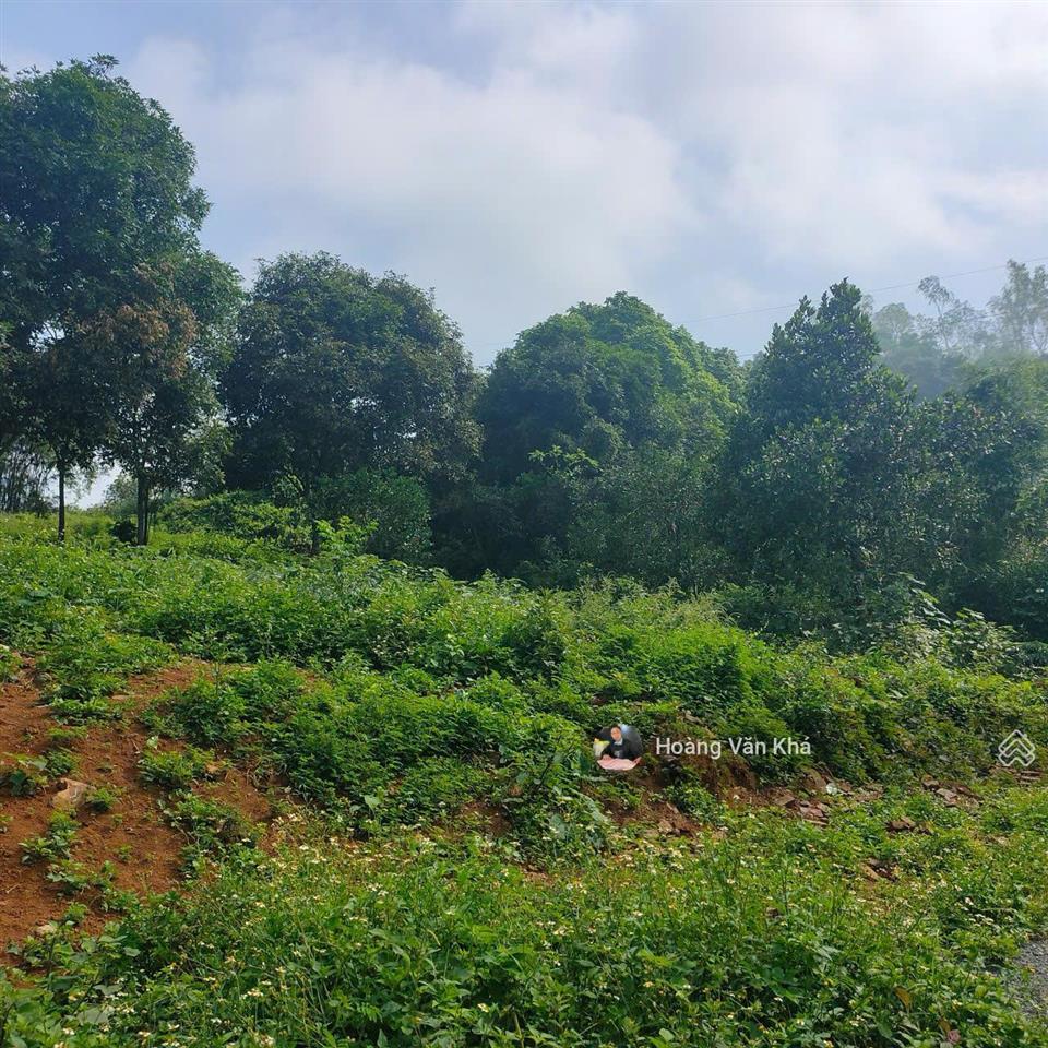 Đất thị trấn xuân mai mà có 8 triệu / 1m2 không thế tin nổi