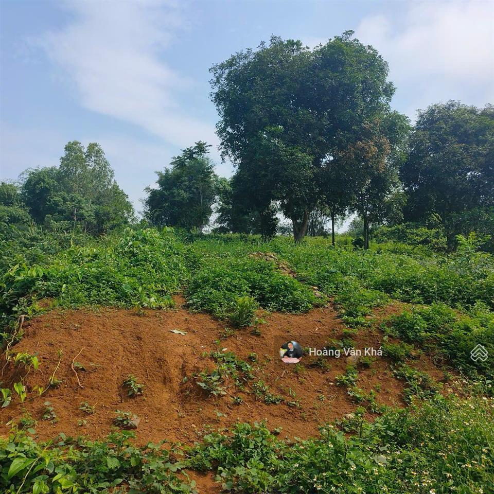 Đất thị trấn xuân mai mà có 8 triệu / 1m2 không thế tin nổi