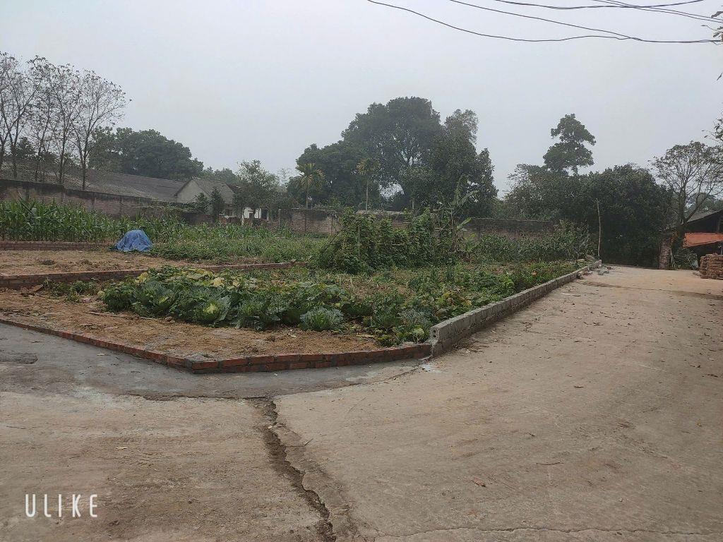 🏡 SIÊU PHẨM ĐẤT THỔ CƯ GIÁ RẺ NHẤT THỊ TRƯỜNG – CHỈ HƠN 10 TRIỆU/M² TẠI TRUNG TÂM PHÚ CÁT – HÒA LẠC  