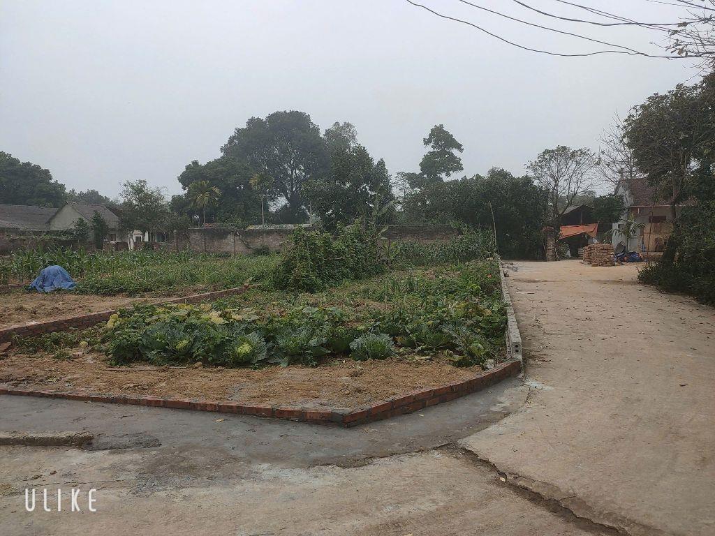 🏡 SIÊU PHẨM ĐẤT THỔ CƯ GIÁ RẺ NHẤT THỊ TRƯỜNG – CHỈ HƠN 10 TRIỆU/M² TẠI TRUNG TÂM PHÚ CÁT – HÒA LẠC  