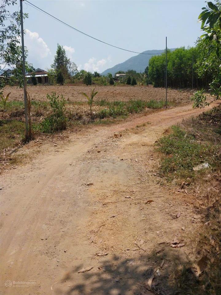 Cần bán lô đất cây lâu năm 1.227,8m2 xuân đồng, diên khánh, khánh hòa