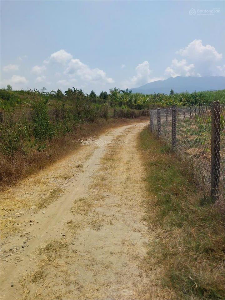 Cần bán lô đất cây lâu năm 1.227,8m2 xuân đồng, diên khánh, khánh hòa