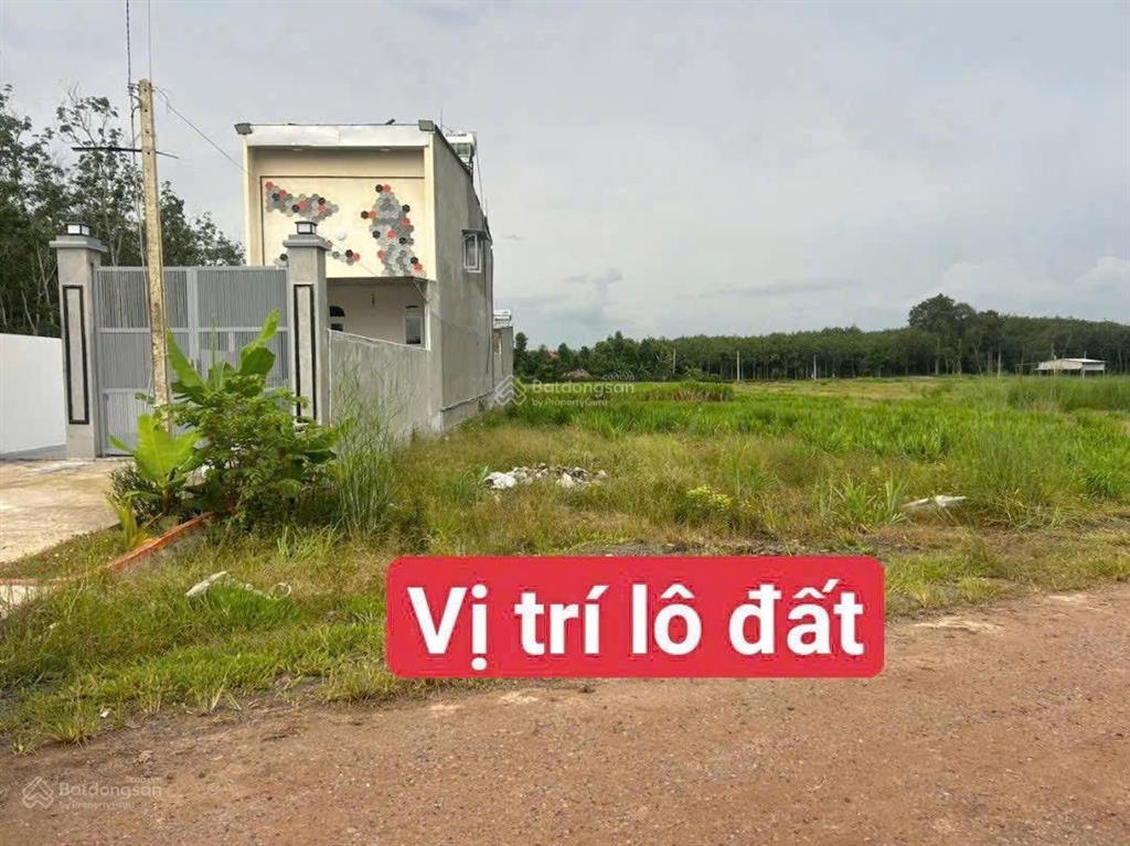 Kẹt tiền bán gấp đất mặt tiền đường nhà nước giá cực rẻ sát kcn lớn vị trí cực đẹp