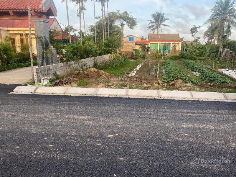 Lô đất rẻ đẹp nhất tân phong kiến thuỵ đường nhựa thôn đang mở rộng
