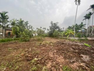 Bán lô đất nhà vườn 731m2 full thổ cư rẻ nhất kiến thuỵ chỉ có 6,2 triệu /m2 có thể phân lô