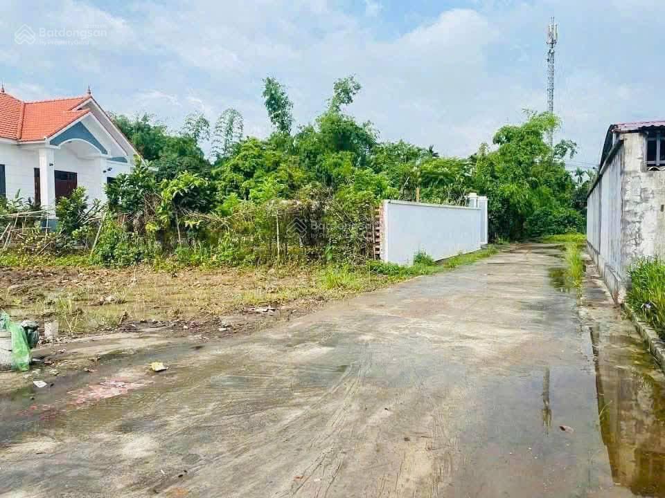 Siêu phẩm rẻ đẹp nhất minh tân, kiến thuỵ, hải phòng 184m2 chỉ 1tỷ550tr