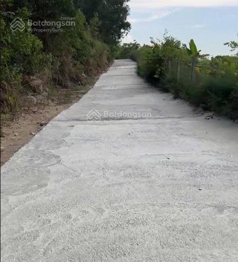 Cần bán lô đất 3ha suối cát cam lâm giáp ranh phước đồng gần trường lái hồng bàng nha trang