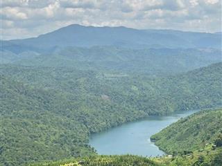 Cần tiền bán gấp 9,3 ha view hồ tự nhiên cực đẹp tại quảng khê, giá cực mềm cho giới đầu tư