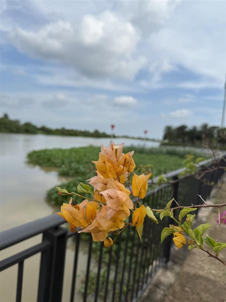 Duy nhất căn btsl elite 2. dt 10x20m giá 11,9 tỷ bao phí sang tên.  0931 832 *** em hùng aqua