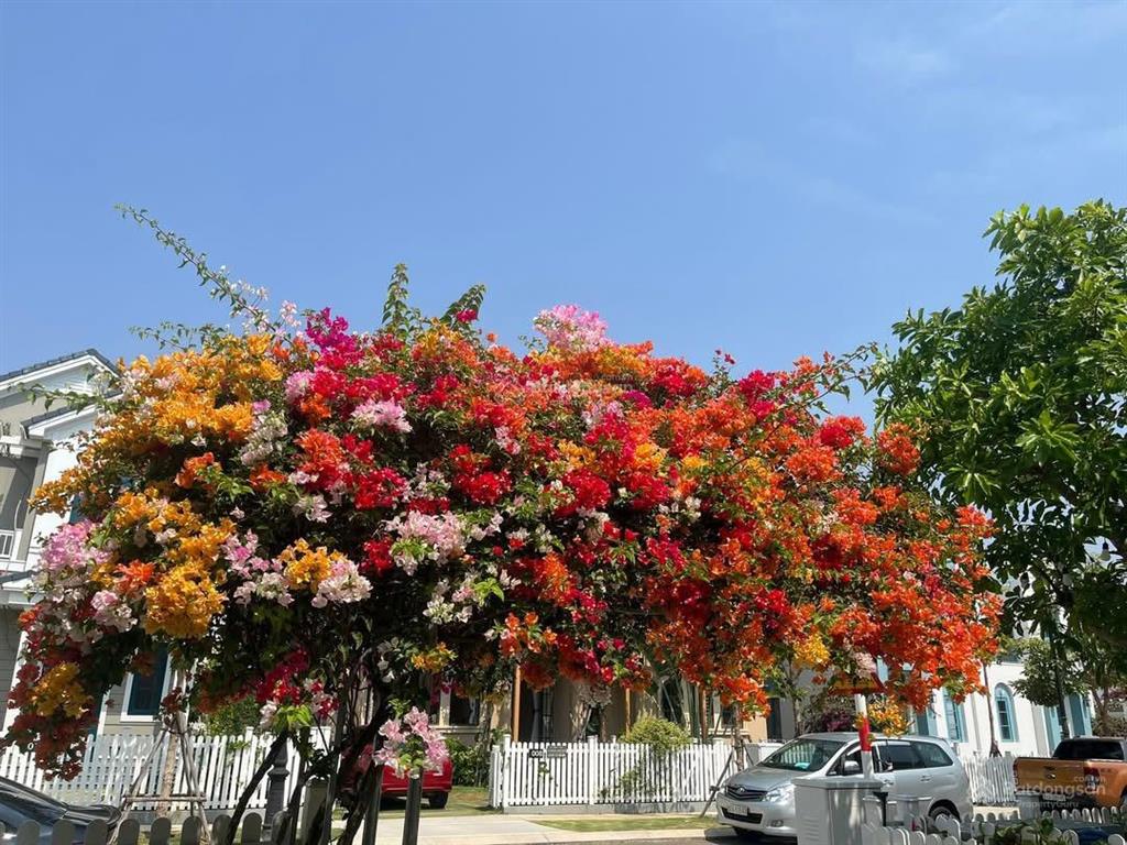 Với 3,9 tỷ sở hữu ngay căn nhà phố 6x20 full nội thất . cam kết đăng là có .  0931 832 ***