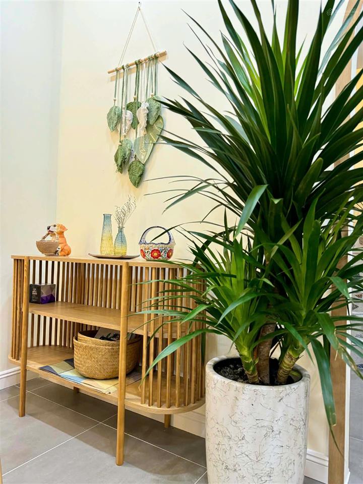 Chuyển nhượng nhà phố full nội thất 3pn chính diện công viên giá 3.9 tỷ bao thuế phí 0966 765 ***