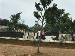 1120m2 mt 29m, 3 tỷ nhỉnh ac làm xưởng kho hay khu nghỉ dưỡng, khu sen hồng