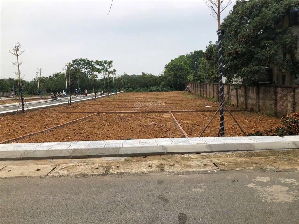 200m ra tỉnh lộ 916 200 m2 ql 21 vị trí la gián, sơn tây dt 105 m2 mt 5 7 m