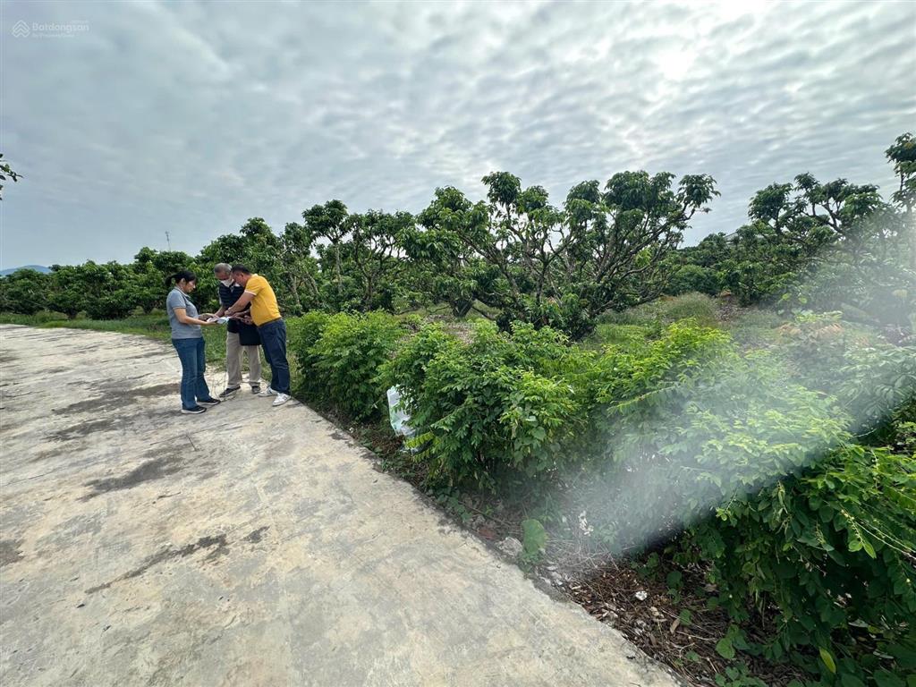 600tr, nhỉnh dt 230m2 mt 5,5m, đường ô tô tránh,  e để sở hữu ngay gần hồ du lịch