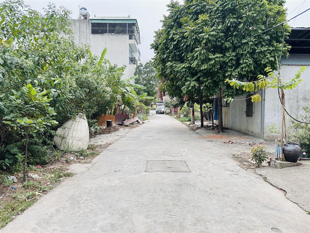 Bán 52m đất dv lại yên, sơn đồng, ô sát góc, giá 14x tr/m