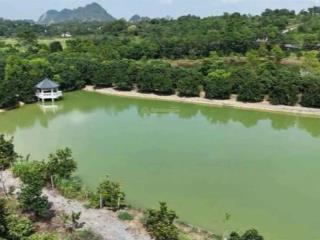 Rẻ 1/2 so với thị trường chỉ 1.6trieu/m2 lô 20.000m mặt tiền 138m sẵn sổ hoàng gần sân golf skyleck