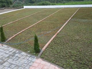 Đất nền lương sơn, hoà bình sổ đỏ trao tay giá trị bền vững