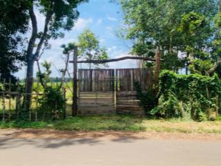 Bán 1.100m2 có 340m tc ngang 31m view lúa đường nhựa lê văn một  tt đất đỏ ,brvt