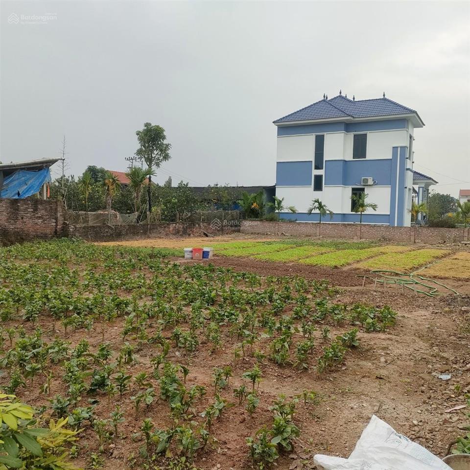 Nhỉnh 2 tỷ/400m2 full thổ cư tại trung chính, lương tài ngay ubnd, đường xe ô tô, 0961 532 ***