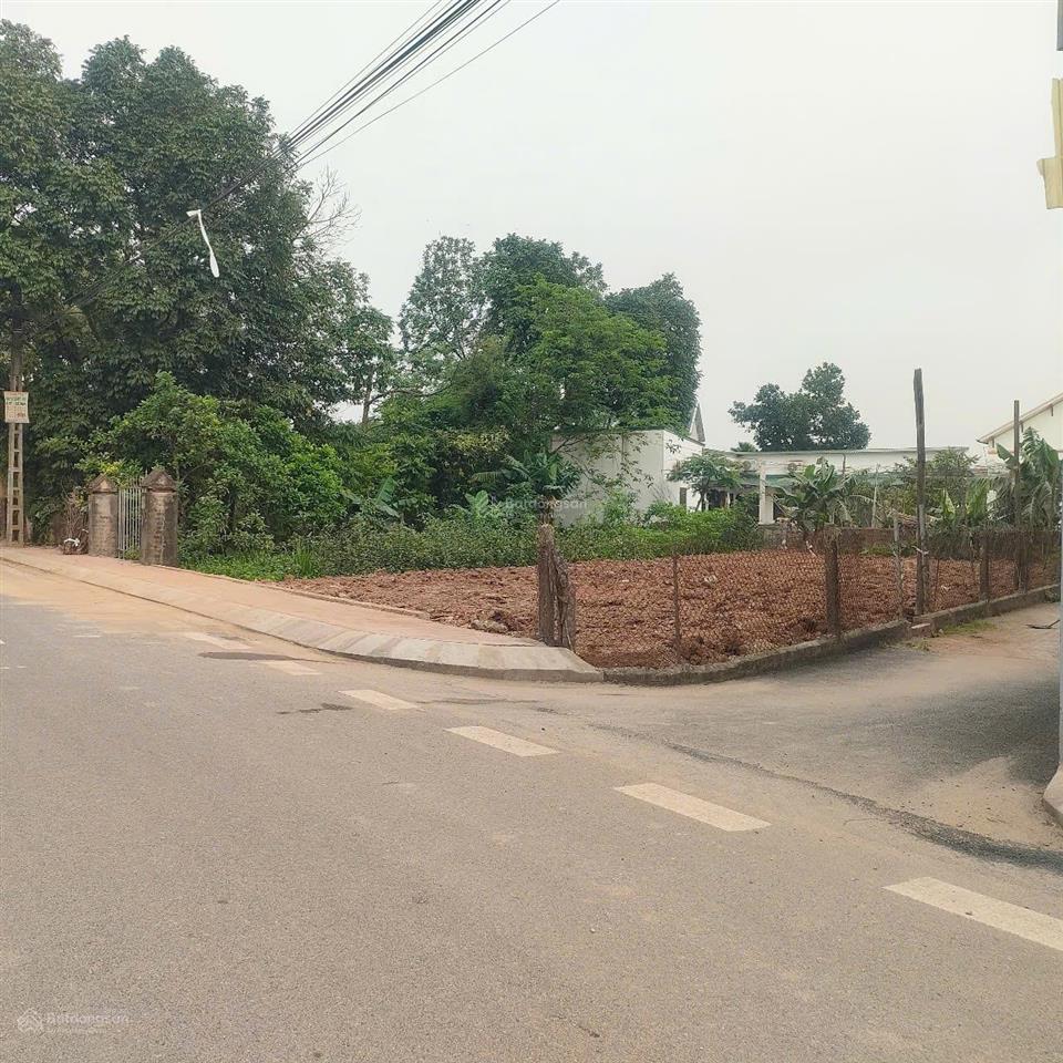 Hàng vip! lô góc có 11.5 tỷ/241m2 tân tiến văn giang ngay vành đai 4, trục chính tl.377, 0961 532 ***