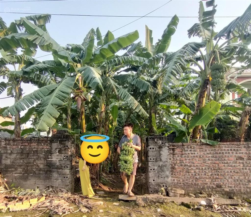 Đất đẹp! nhỉnh 20tr/400m2 ngay khu đấu giá tân dân, trục chính đường 2 ô tô tránh, 0961 532 ***