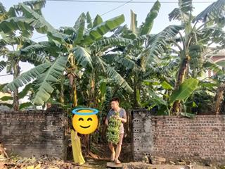 Đất đẹp! bán 400m2 giá cực êm ngay khu đấu giá tân dân, trục chính đường 2 ô tô tránh, 0961 532 ***