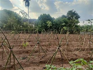 Ac tìm mua đất view sông! đông tảo bán 238m2 ngay vành đai 4 trục chính thông 2 ô tô, 0961 532 ***