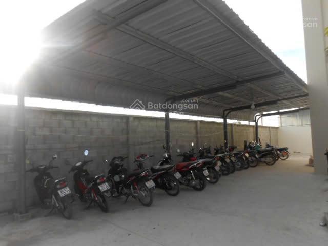 Bán xưởng gỗ đang khai thác thu nhập ổn định, diện tích khủng 13.523m²