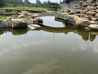 Bán khu vườn cây ăn trái sinh thái, mặt tiền đường hương lộ 15, xã bình lợi huyện vĩnh cửu