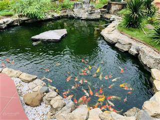 1 khuôn viên nghỉ dưỡng thuộc đô thị vệ tinh hoà lạc 2000m chỉ việc xách vali về ở