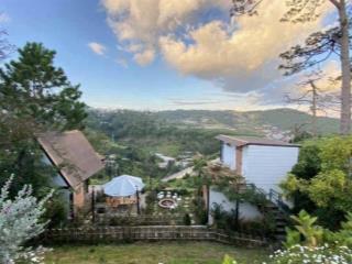 1017m2 750 triệu đất vườn view sân mây cần.
bán gấp tặng luôn vườn hồng. công chứng sang tên ngay