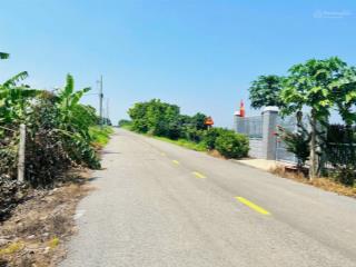 Chủ cần bán gấp vườn trái cây siêu rẻ đẹp láng dài 2900m2 bán vườn trái cây dt 2900m2.