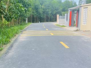 Mặt tiền nhựa  gần thị trấn  giá 890 triệu diện tích đất 5m x 29m  tổng dt 141m2  có 80m2 t