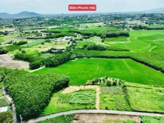 Chủ gửi bán lô đất vườn cây ngay ql55 view ôm trọn cánh đồng lúa xã đất đỏthành phcm
dt 845m2