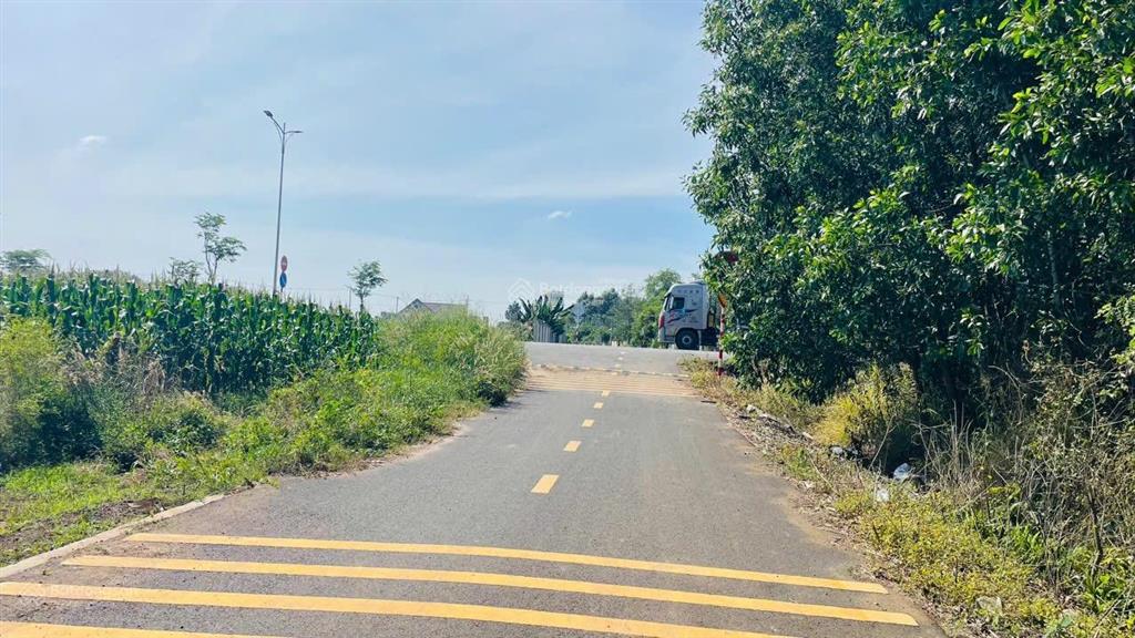 Bán lô đất đường nhựa lớn sát kcn xã đất đỏ, tp. hcm diện tích 146m2 (5x29m) thổ cư 100m2