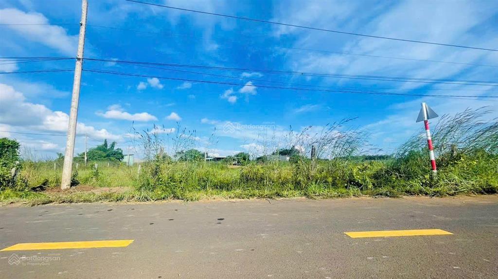 Bán đất mặt tiền đường nhựa 8m thị trấn đất đỏ xã đất đỏ tphcm
đường phạm duy trinh ngang 13x42