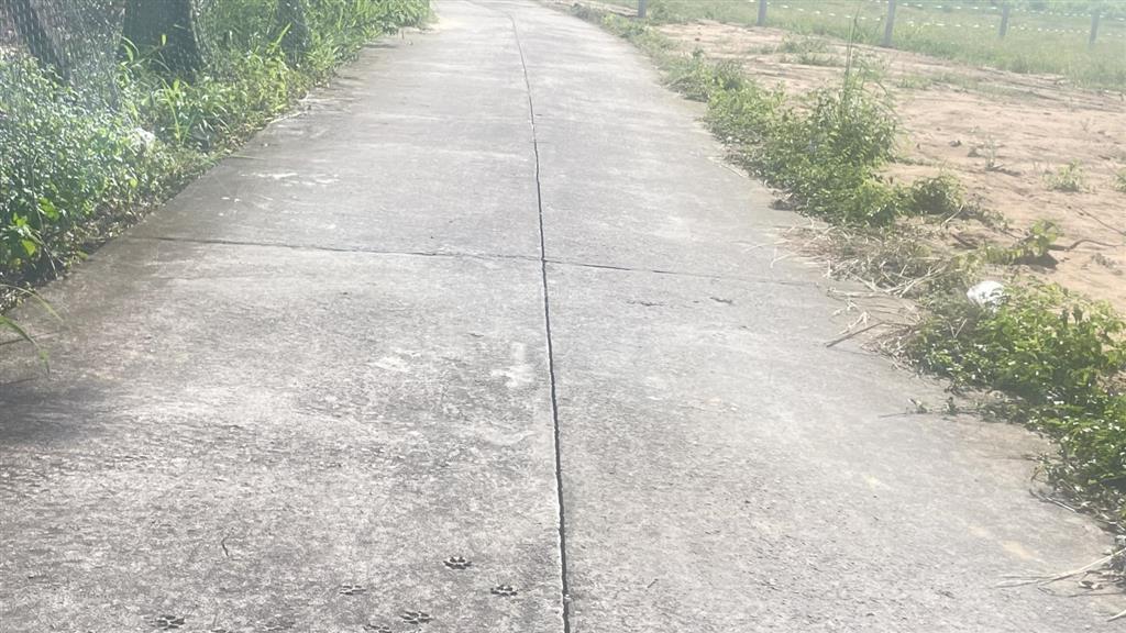 Chủ gửi bán 3 lô đất sào chưa qua đầu tư đất thuộc xã đất đỏ  tphcm khu toàn nhà vườn mái thái