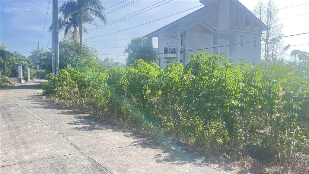 Chủ gửi bán 3 lô đất sào chưa qua đầu tư đất thuộc xã đất đỏ  tphcm khu toàn nhà vườn mái thái