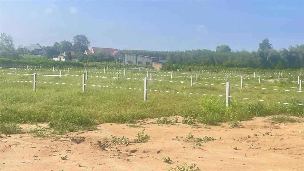 Chủ gửi bán 3 lô đất sào chưa qua đầu tư đất thuộc xã đất đỏ  tphcm khu toàn nhà vườn mái thái