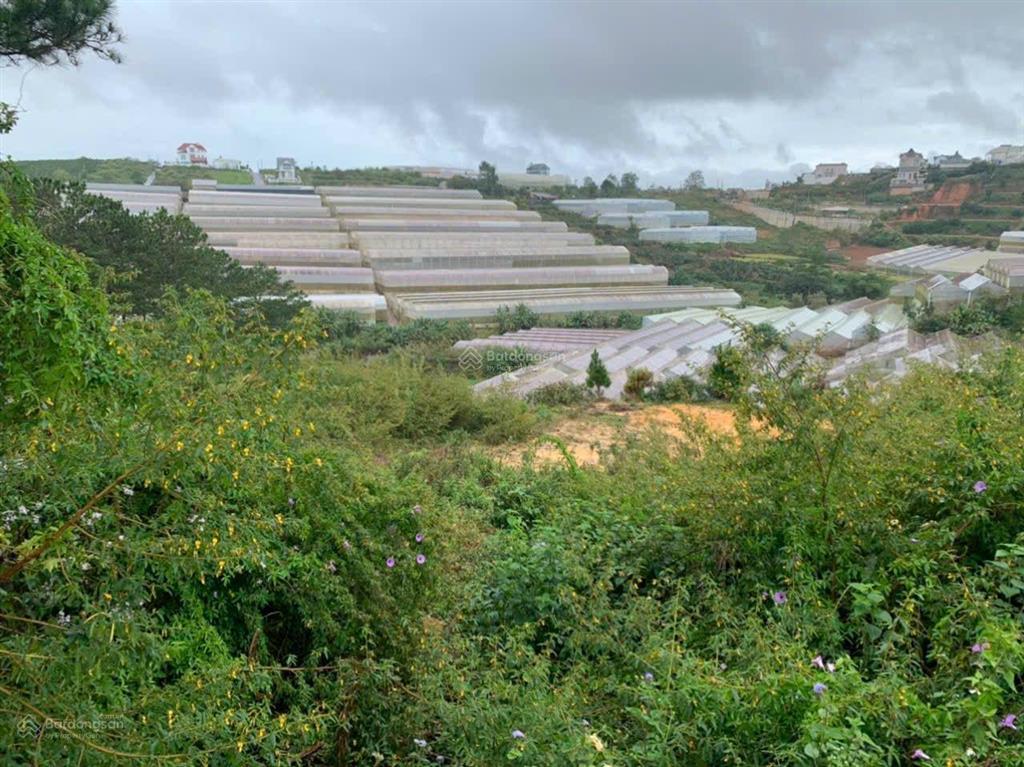 Thua lỗ chứng khoán bán sạch lô đất đường cam ly, phường 7, tp đà lạt, 3061.8m2, giá hời