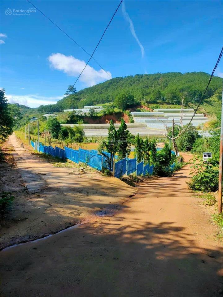 Cần tiền cho con đi học bán lỗ đất đẹp tại măng lin, phường 7, tp đà lạt, giá sốc, 517.05m2