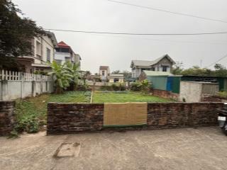 Bán nhanh 181m2 đất thổ cư trạch lôi, trạch mỹ lộc, phúc thọ, hà nội, 18 triệu/m2, 181 m2, giá tốt
