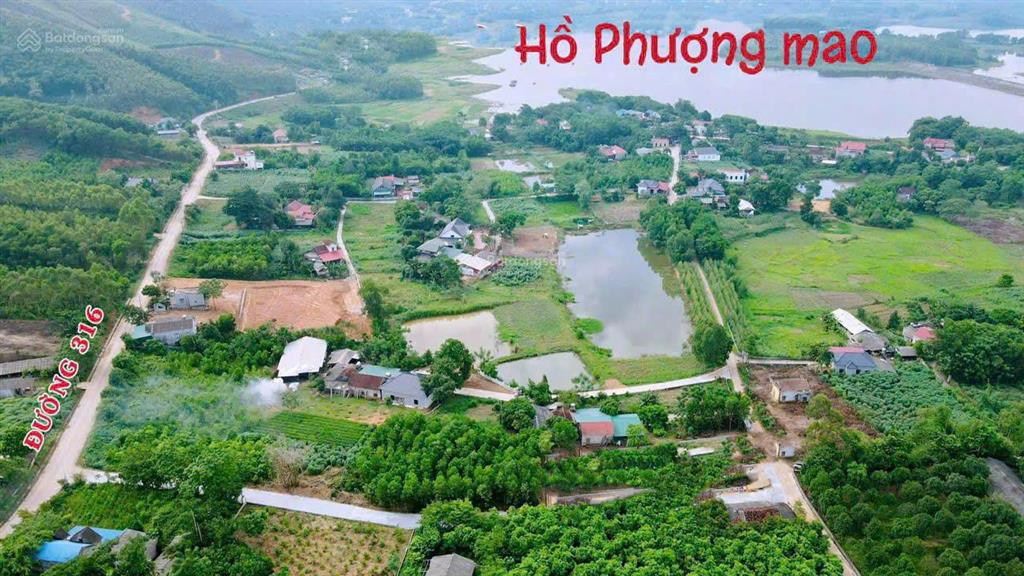 Bán nhanh lô góc 102.5m2 đất full thổ cư tại tu vũ, thanh thủy, phú thọ gần hồ phượng mao giá 550tr