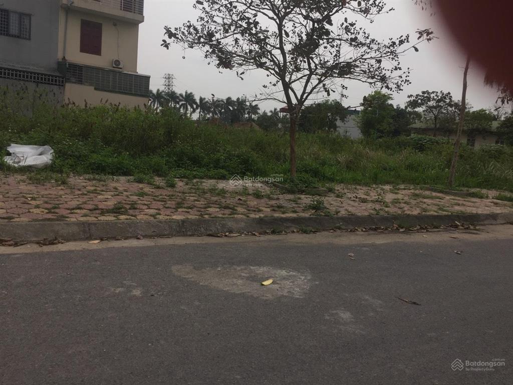 Cần bán 100m2 khu a giai đoạn 1 tại new city phố nối hưng yên