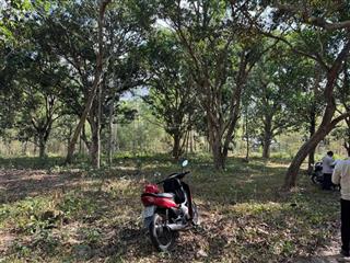 Bán đất tại tỉnh lộ 955b, lương phi, tri tôn, an giang, giá ưu đãi 4,667 tỷ, 3453 m2