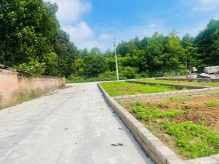 Bán đất 115m² trung tâm phường tùng thiện sổ đỏ hà nội  giá đầu tư cực tốt